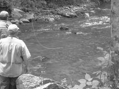 Doe River 28Jun09  17 